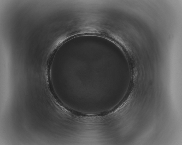 X0000113551455200909181149
