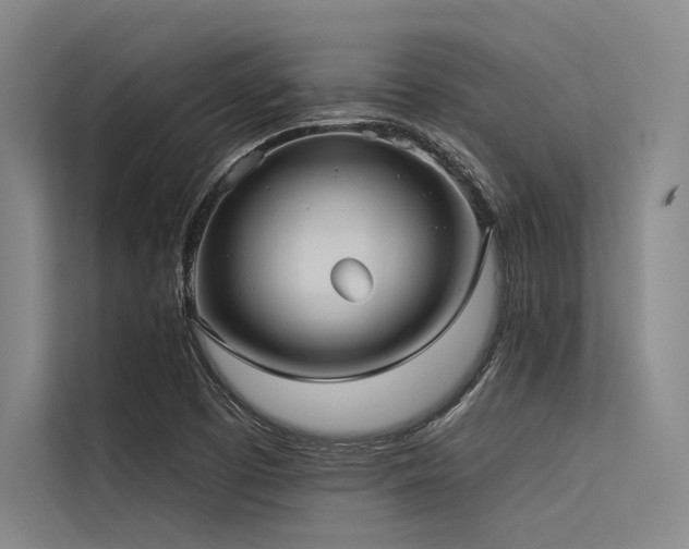X0000113551457200909181149