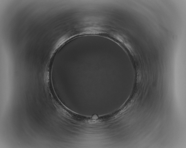X0000113551459200909181149
