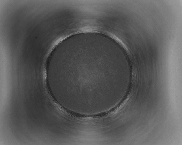 X0000113551461200909181149