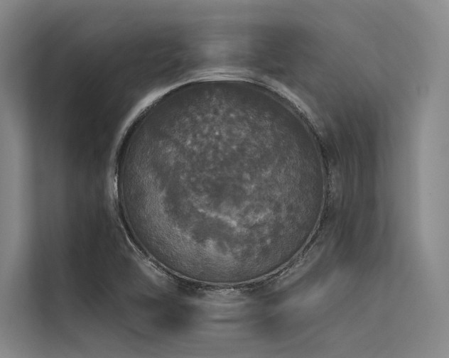 X0000113551462200909181149
