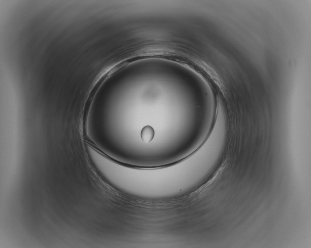 X0000113551465200909181149