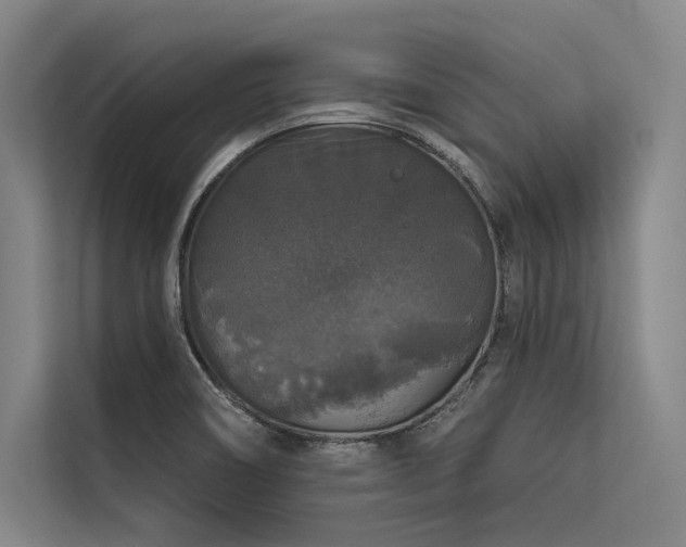 X0000113551466200909181149