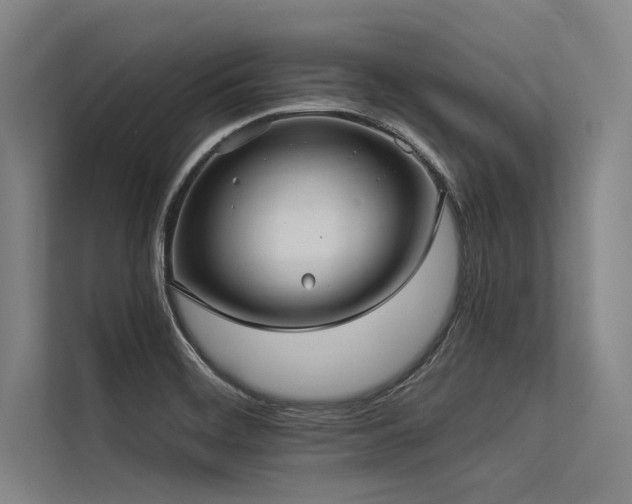 X0000113551468200909181149