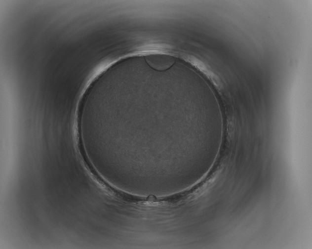 X0000113551469200909181149