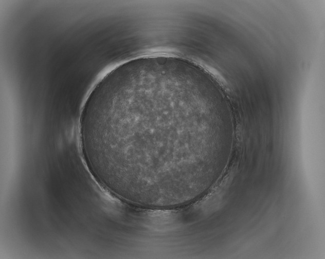 X0000113551470200909181149