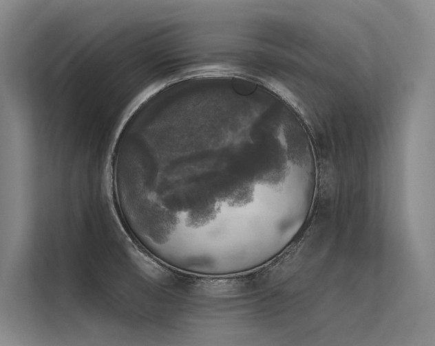 X0000113551474200909181149