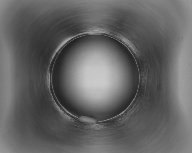 X0000113551476200909181149