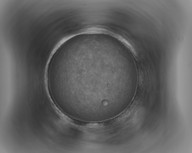 X0000113551478200909181149