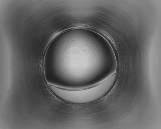 X0000113551481200909181149