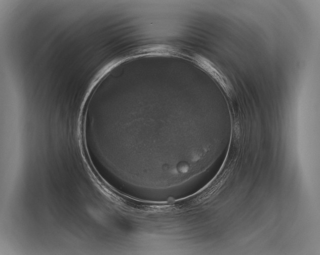 X0000113551482200909181149