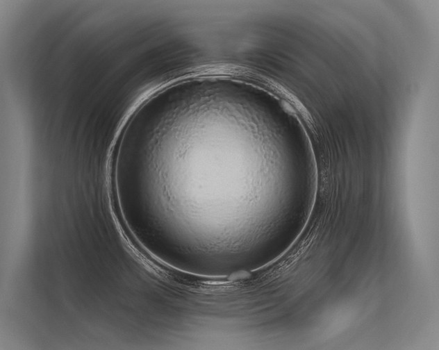 X0000113551483200909181149