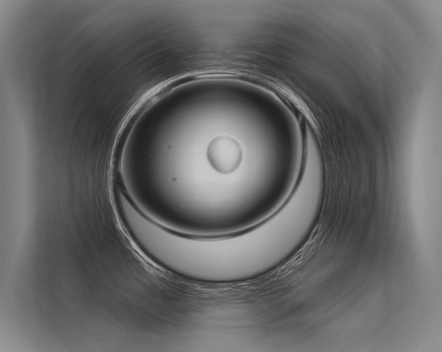 X0000113551485200909181149