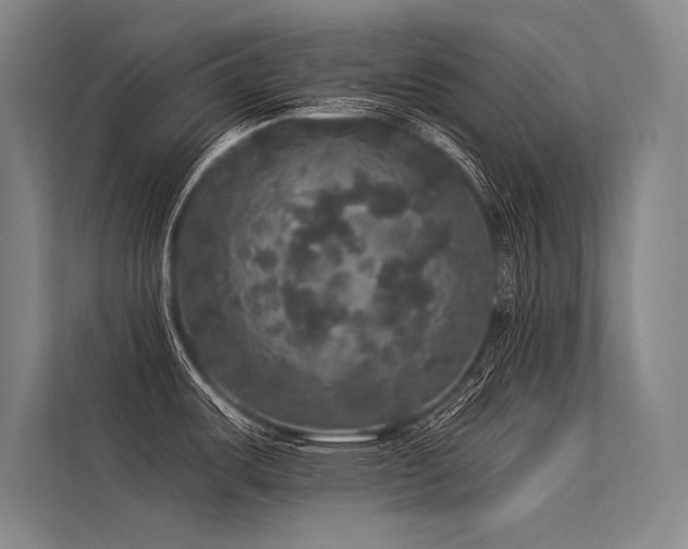X0000113551487200909181149