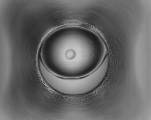 X0000113551488200909181149