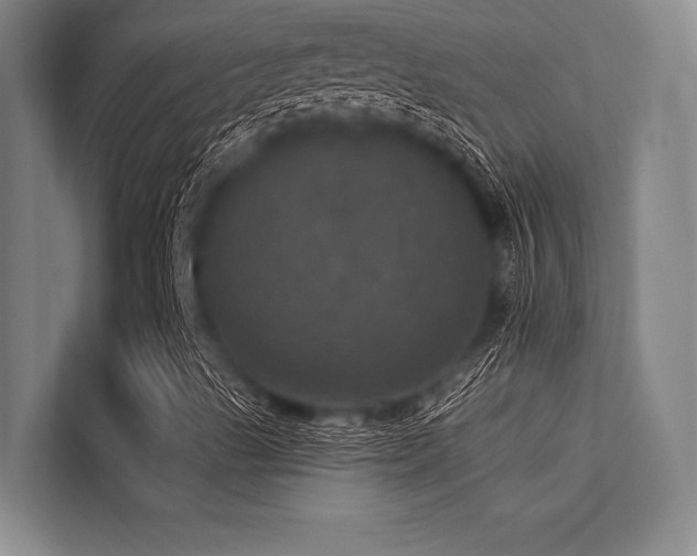 X0000113551489200909181148