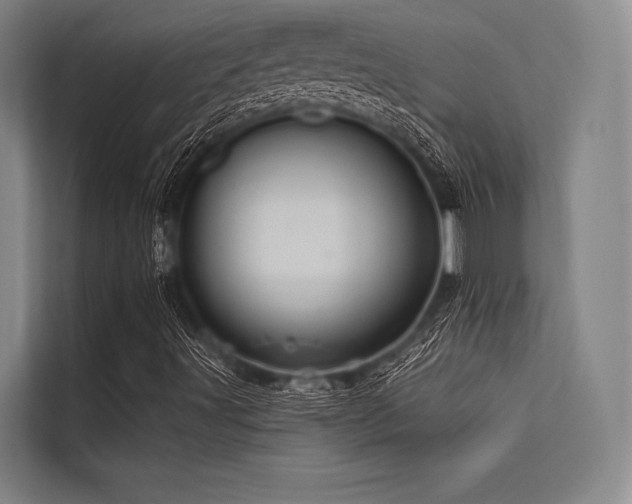 X0000113551491200909181148