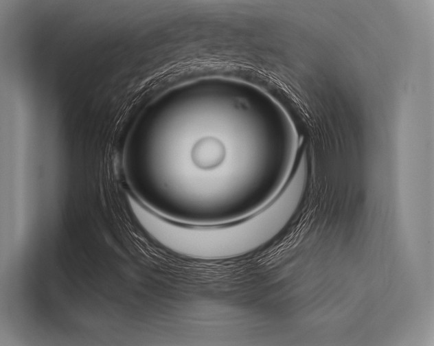 X0000113551492200909181148