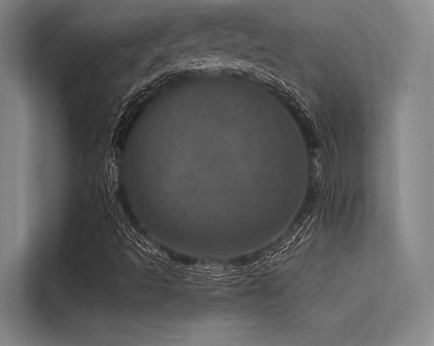 X0000113551493200909181148