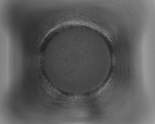X0000113551494200909181148