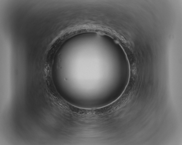X0000113551495200909181148