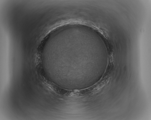 X0000113551496200909181148