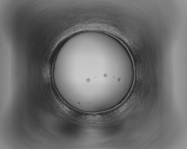 X0000113551498200909181148