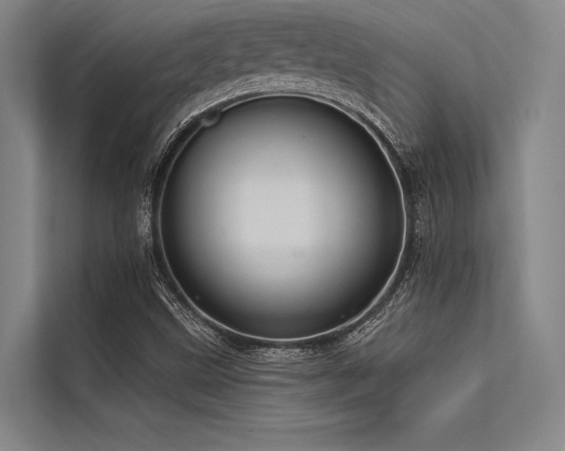 X0000113551499200909181148
