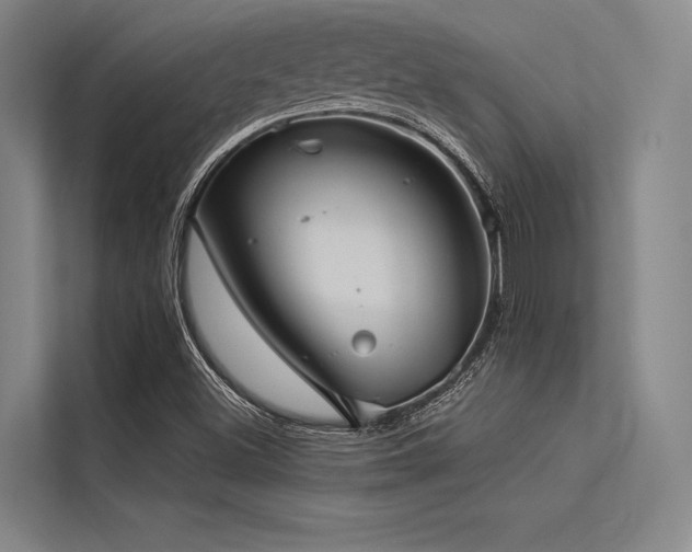 X0000113551500200909181148