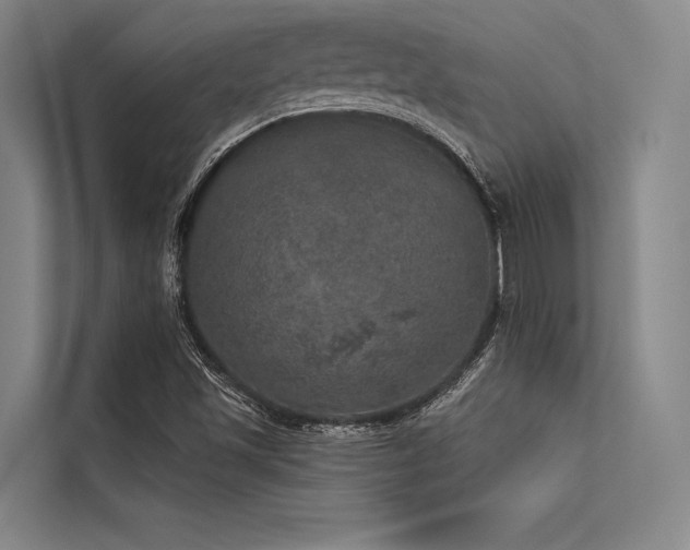 X0000113551501200909181148