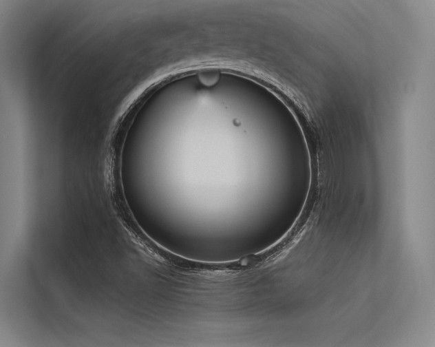 X0000113551502200909181148