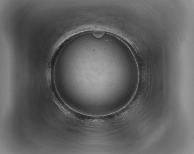 X0000113551503200909181148