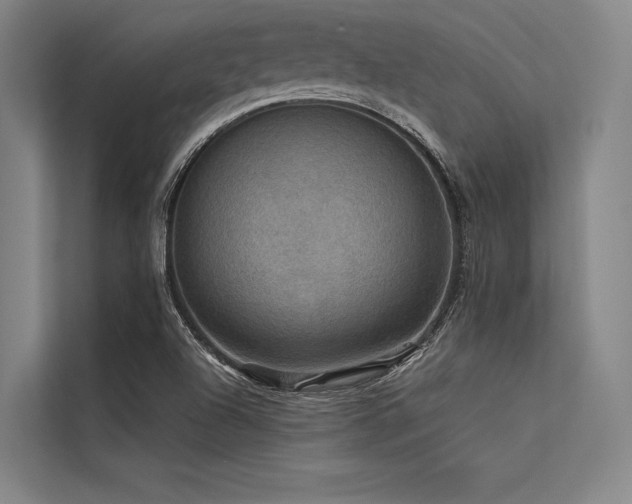 X0000113551504200909181148