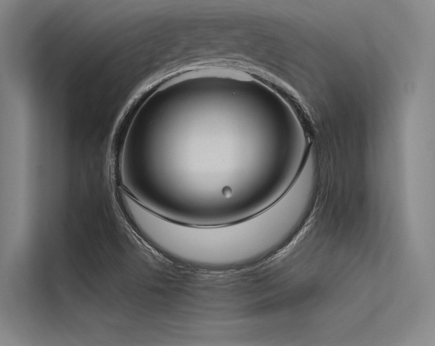 X0000113551506200909181148