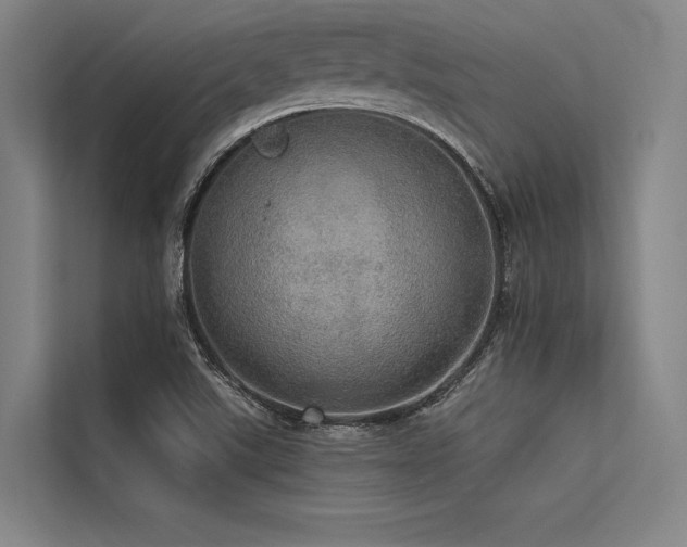 X0000113551507200909181148