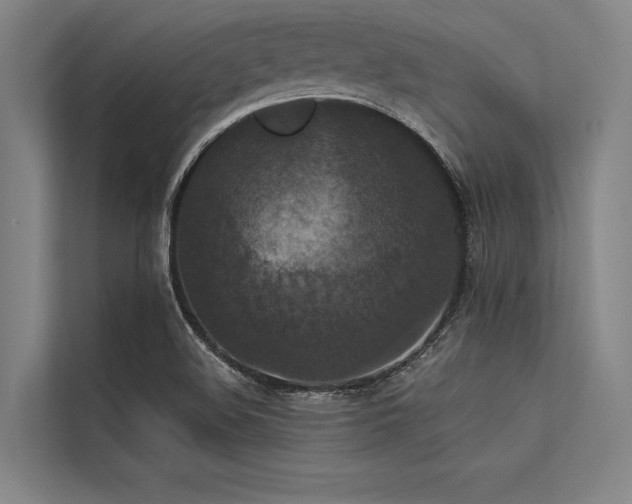 X0000113551508200909181148