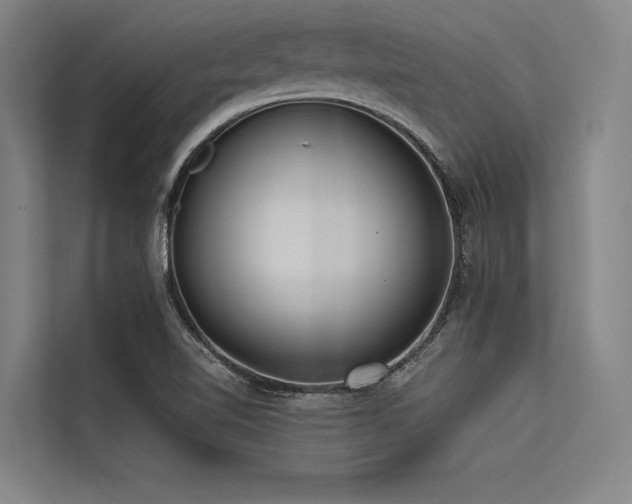 X0000113551510200909181148