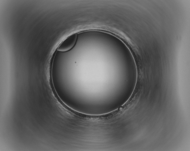 X0000113551512200909181148