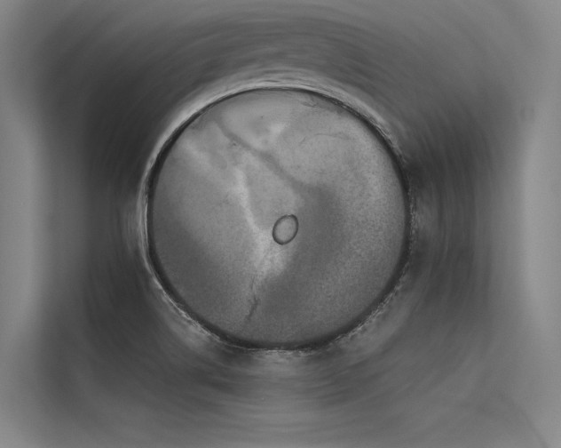 X0000113551514200909181149