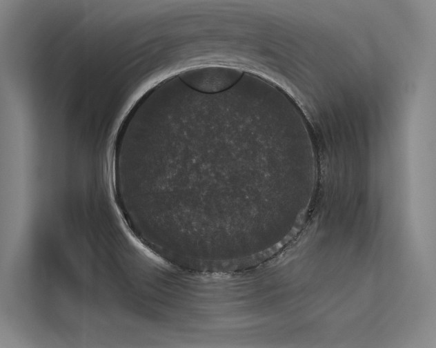 X0000113551515200909181149