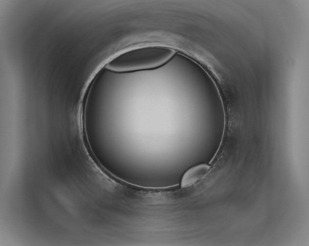 X0000113551516200909181149