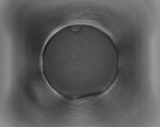 X0000113551517200909181149