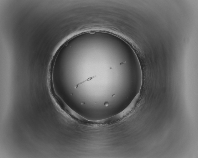 X0000113551518200909181149