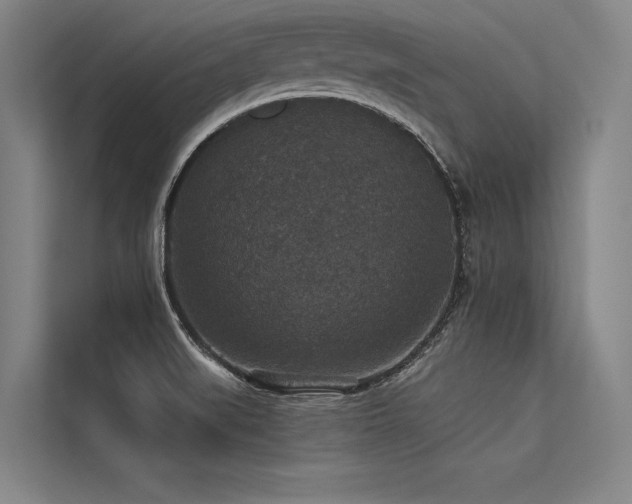 X0000113551519200909181149