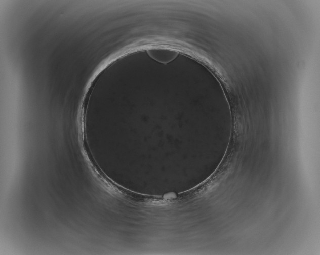 X0000113551522200909181149