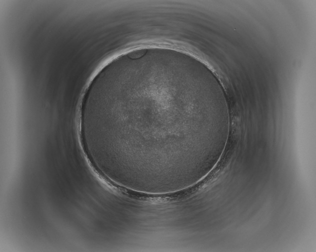 X0000113551523200909181149