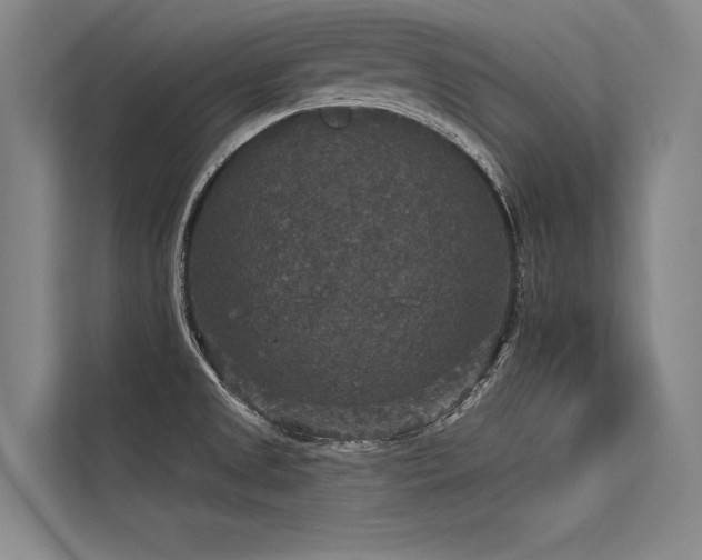 X0000113551525200909181149