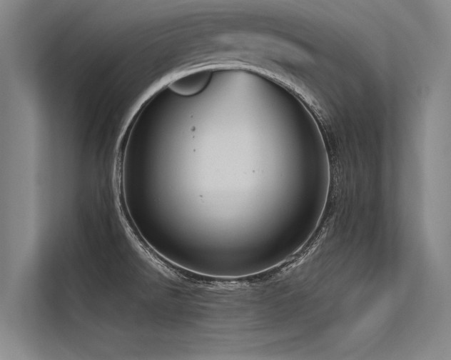 X0000113551526200909181149