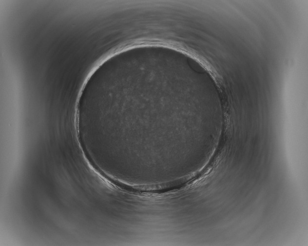 X0000113551527200909181149