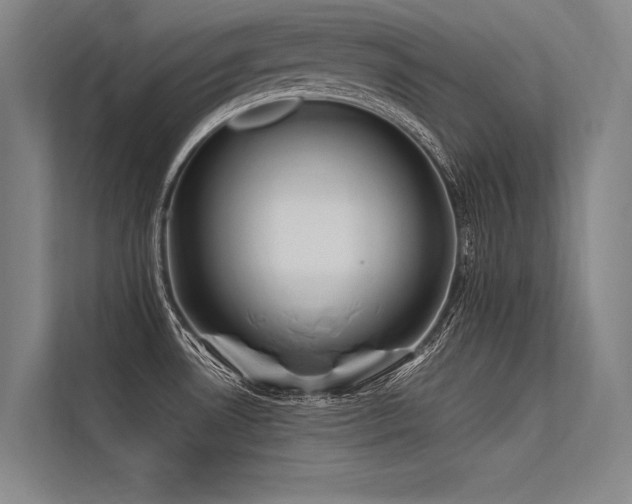 X0000113551530200909181149